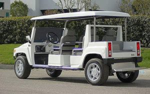 affordable golf cart rental, golf cart rent fort lauderdale, cart rental fort lauderdale