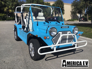 affordable golf cart rental, golf cart rent fort lauderdale, cart rental fort lauderdale