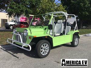 affordable golf cart rental, golf cart rent fort lauderdale, cart rental fort lauderdale