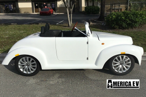 affordable golf cart rental, golf cart rent fort lauderdale, cart rental fort lauderdale