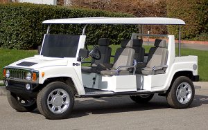 affordable golf cart rental, golf cart rent fort lauderdale, cart rental fort lauderdale