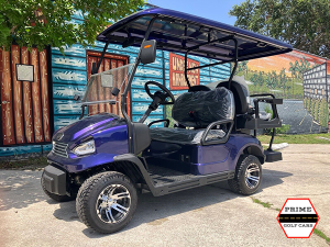 fort lauderdale golf cart service, golf cart repair fort lauderdale, golf cart charger