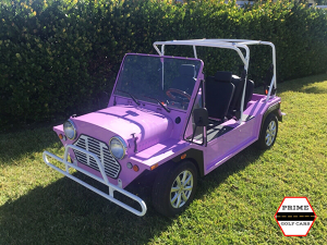 golf cart rental fort lauderdale, fort lauderdale golf cart rental, street legal golf car