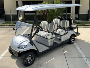 fort lauderdale golf cart rentals, golf cart rental, golf cars for rent