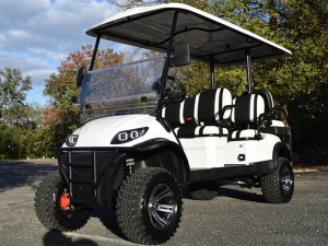 golf car rental fort lauderdale, golf cart rental near me, cart rental fort lauderdale