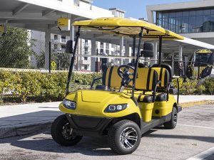 fort lauderdale golf cart rentals, golf cart rental, golf cars for rent